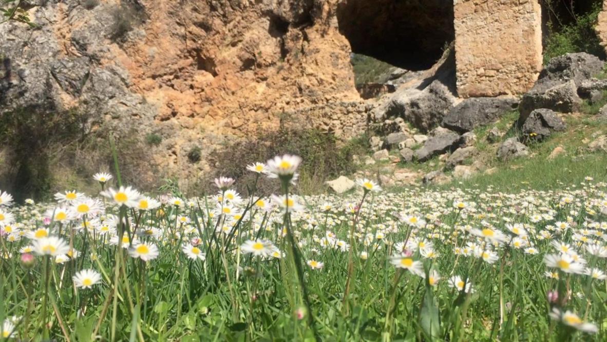 La Reserva Pajaroncillo Eksteriør bilde